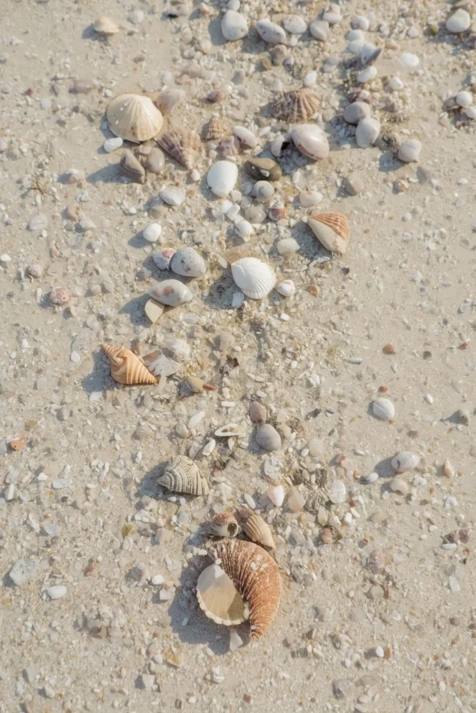 Start With a Soft Sand Base1