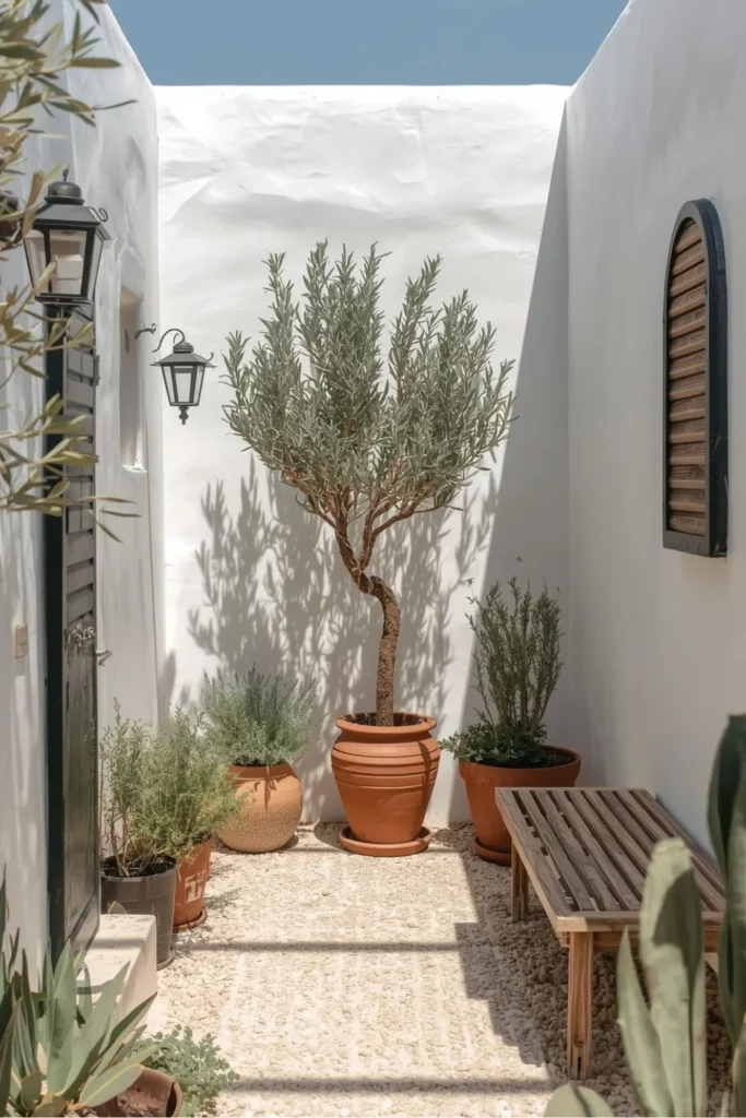 Mediterranean Micro Oasis