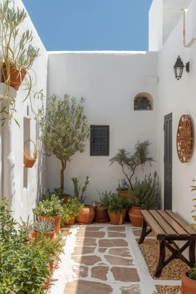 Mediterranean Micro Oasis1